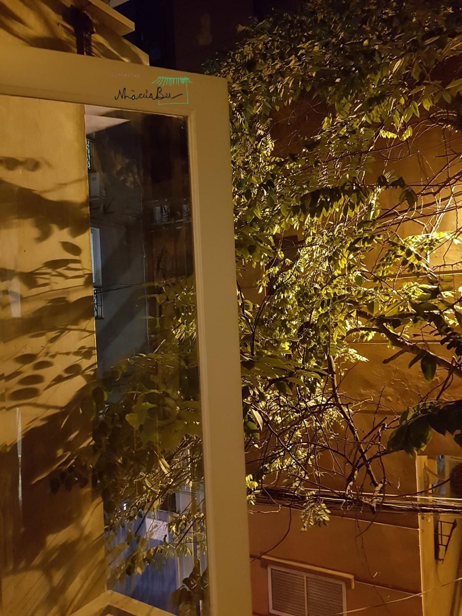 Bu האנוי מראה חיצוני תמונה